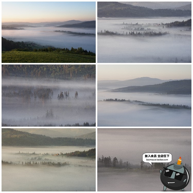 图片[1]-神秘云雾迷雾森林树林阴森恐怖风景高清JPG图片PS后期合成素材-设计猿