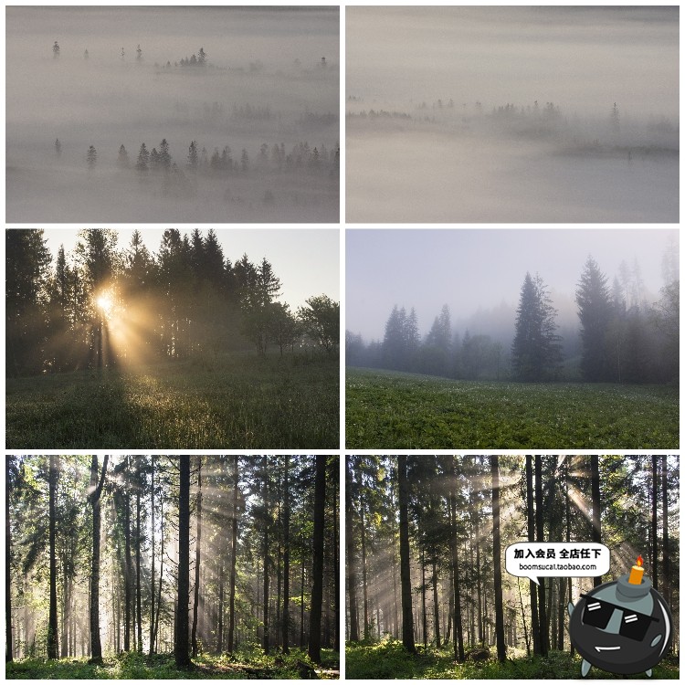 图片[2]-神秘云雾迷雾森林树林阴森恐怖风景高清JPG图片PS后期合成素材-设计猿