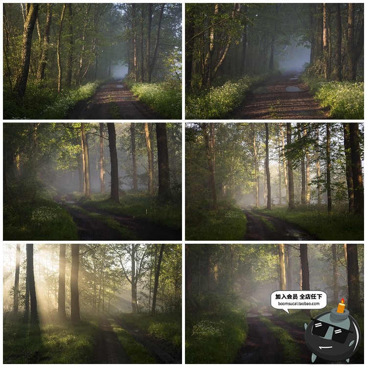 图片[3]-神秘云雾迷雾森林树林阴森恐怖风景高清JPG图片PS后期合成素材-设计猿
