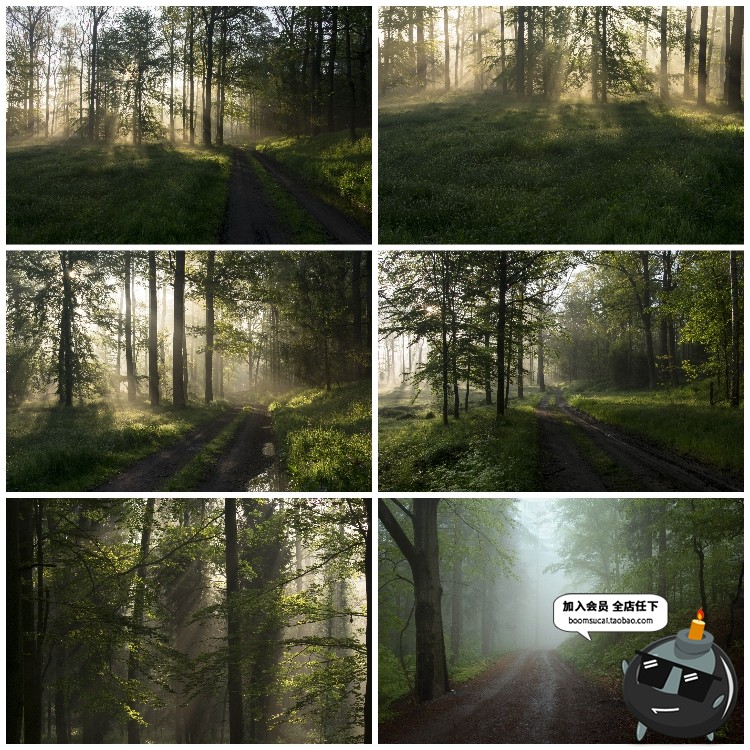 图片[4]-神秘云雾迷雾森林树林阴森恐怖风景高清JPG图片PS后期合成素材-设计猿