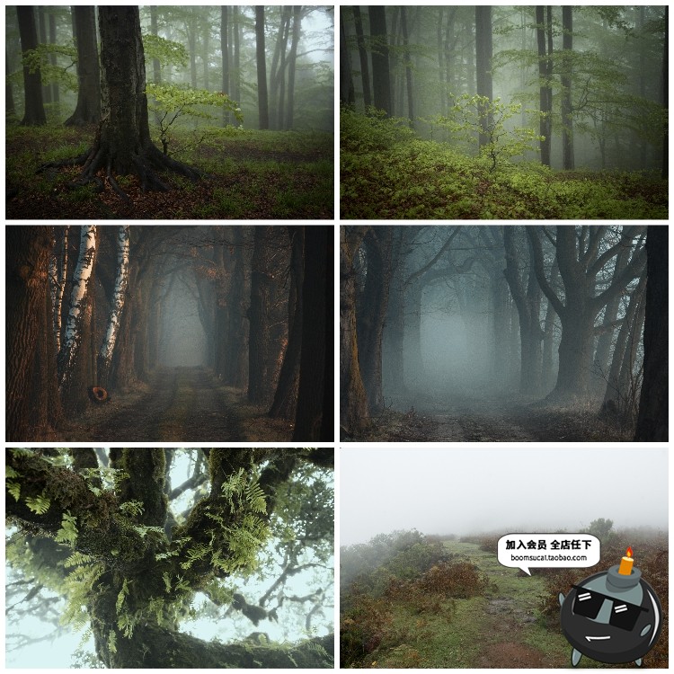 图片[6]-神秘云雾迷雾森林树林阴森恐怖风景高清JPG图片PS后期合成素材-设计猿