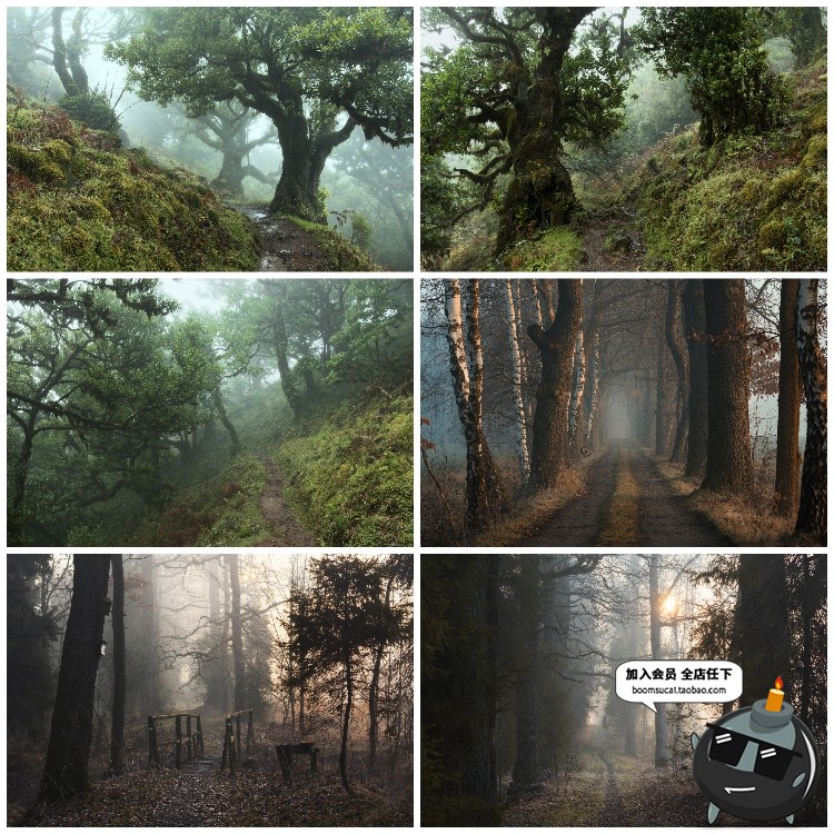 图片[7]-神秘云雾迷雾森林树林阴森恐怖风景高清JPG图片PS后期合成素材-设计猿