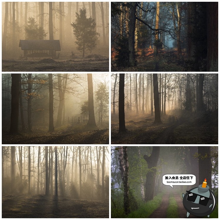 图片[8]-神秘云雾迷雾森林树林阴森恐怖风景高清JPG图片PS后期合成素材-设计猿