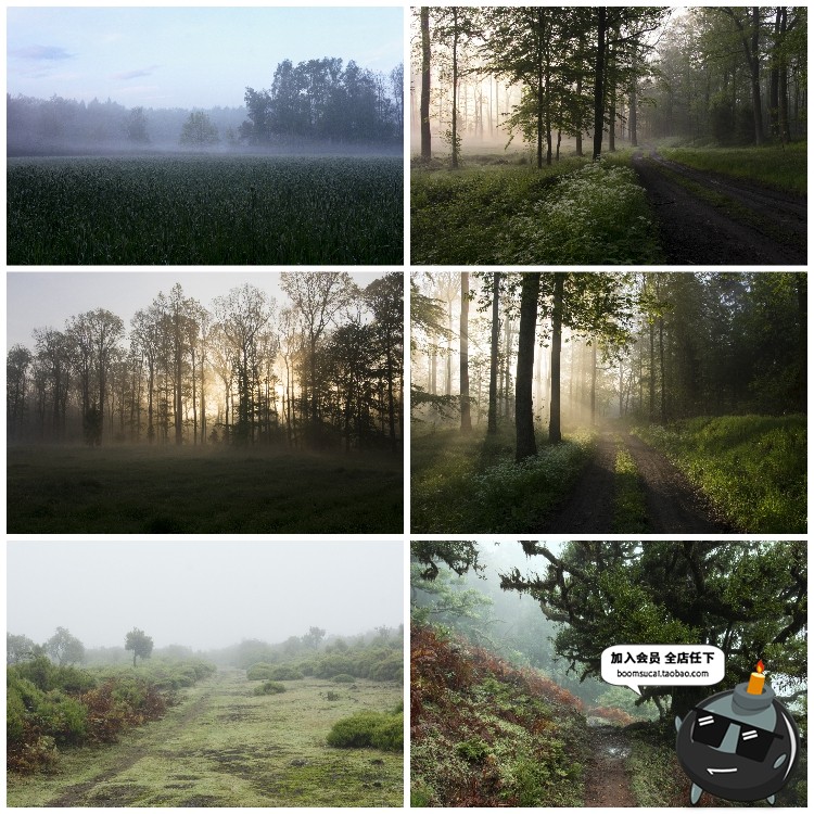 图片[9]-神秘云雾迷雾森林树林阴森恐怖风景高清JPG图片PS后期合成素材-设计猿