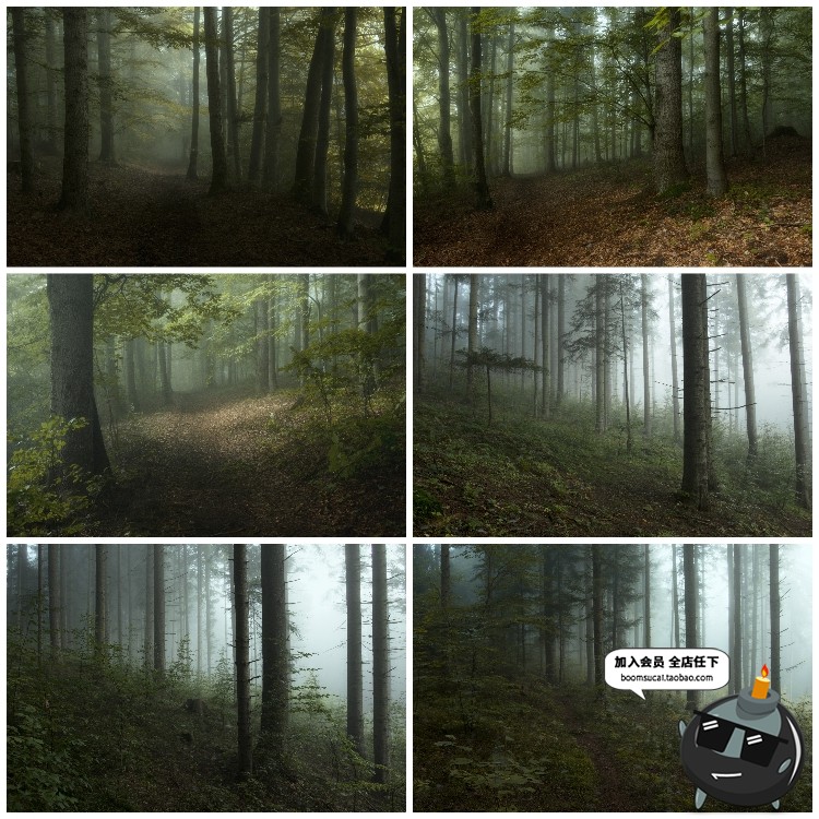 图片[12]-神秘云雾迷雾森林树林阴森恐怖风景高清JPG图片PS后期合成素材-设计猿