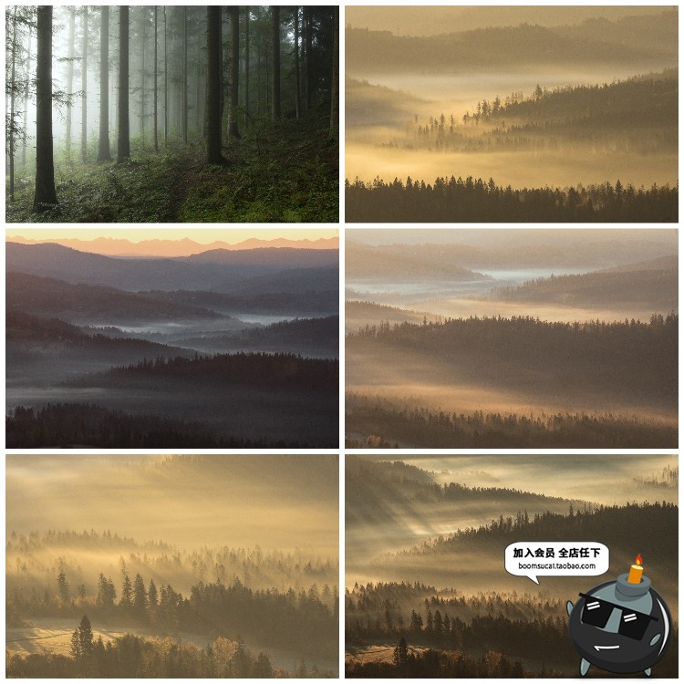图片[13]-神秘云雾迷雾森林树林阴森恐怖风景高清JPG图片PS后期合成素材-设计猿