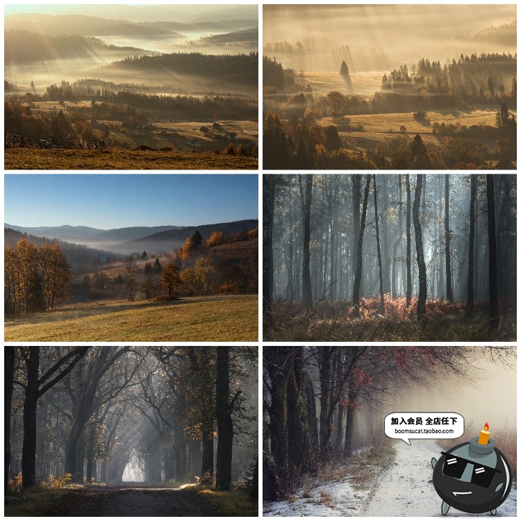 图片[14]-神秘云雾迷雾森林树林阴森恐怖风景高清JPG图片PS后期合成素材-设计猿