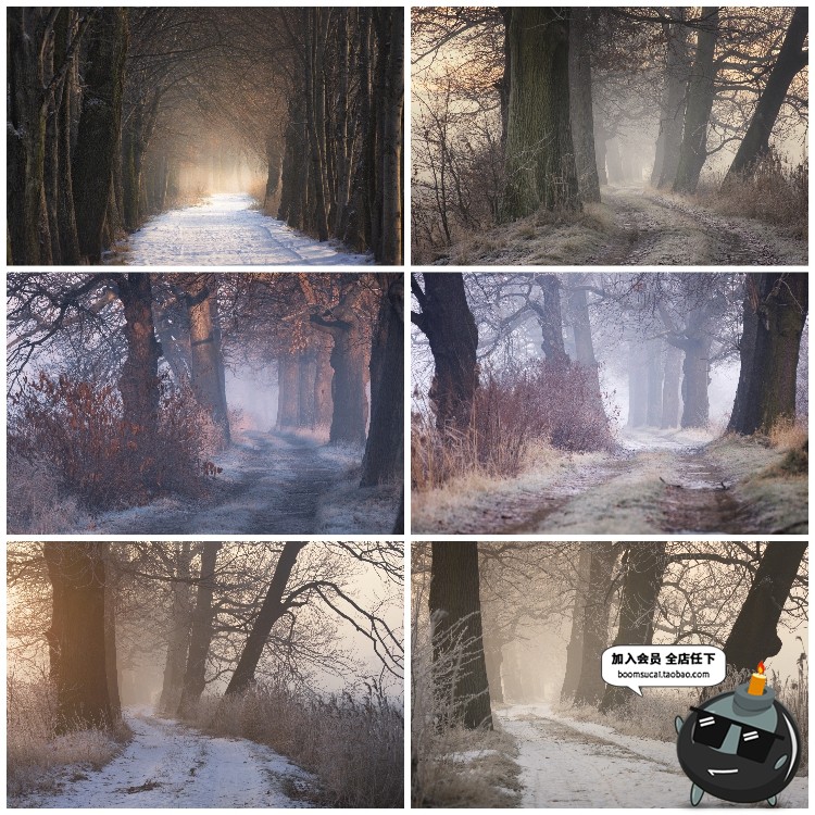 图片[15]-神秘云雾迷雾森林树林阴森恐怖风景高清JPG图片PS后期合成素材-设计猿