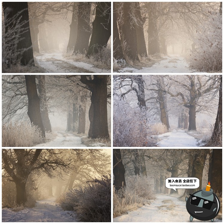 图片[16]-神秘云雾迷雾森林树林阴森恐怖风景高清JPG图片PS后期合成素材-设计猿