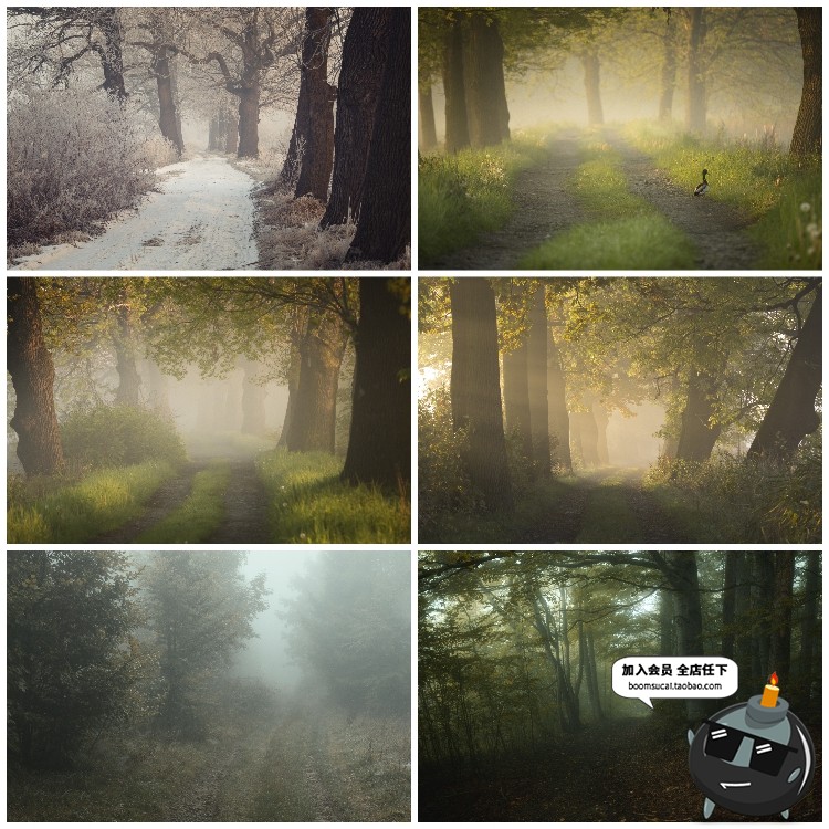 图片[17]-神秘云雾迷雾森林树林阴森恐怖风景高清JPG图片PS后期合成素材-设计猿
