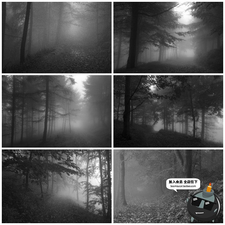 图片[18]-神秘云雾迷雾森林树林阴森恐怖风景高清JPG图片PS后期合成素材-设计猿