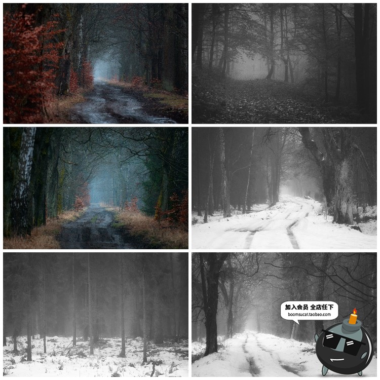 图片[19]-神秘云雾迷雾森林树林阴森恐怖风景高清JPG图片PS后期合成素材-设计猿