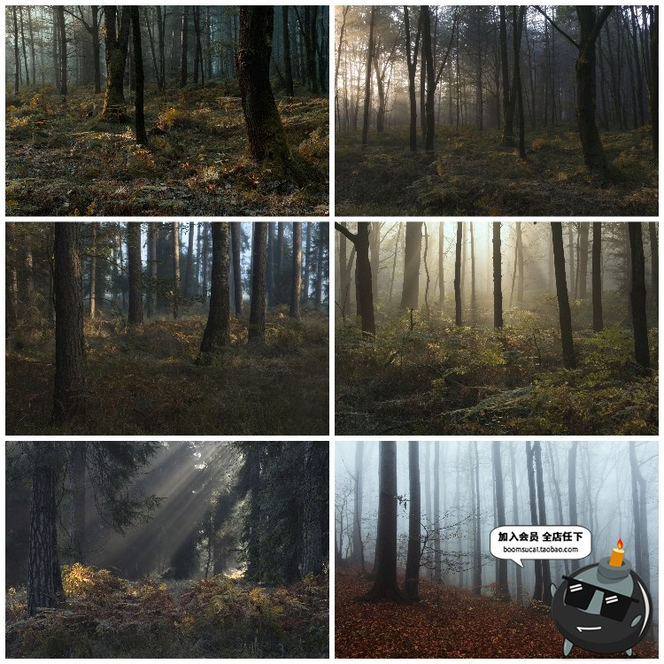 图片[20]-神秘云雾迷雾森林树林阴森恐怖风景高清JPG图片PS后期合成素材-设计猿