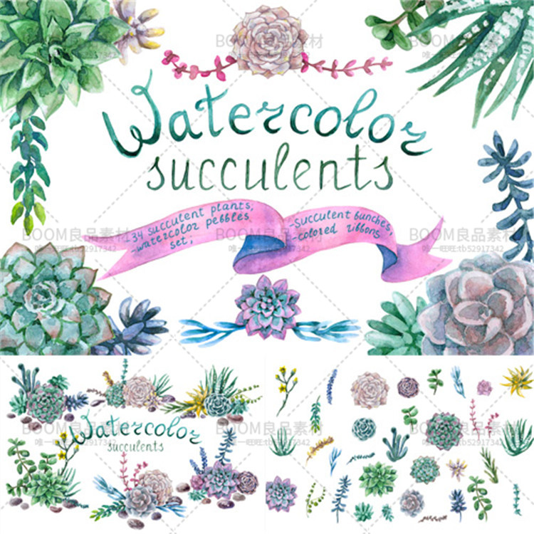 图片[1]-手绘小清新水彩多肉花环飘带石头子海报贺卡图案PNG大图免扣素材-设计猿