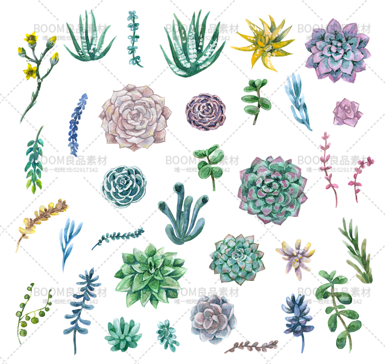 图片[3]-手绘小清新水彩多肉花环飘带石头子海报贺卡图案PNG大图免扣素材-设计猿