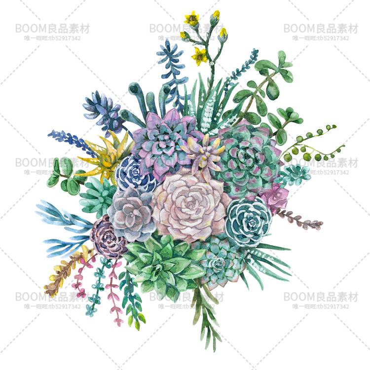 图片[7]-手绘小清新水彩多肉花环飘带石头子海报贺卡图案PNG大图免扣素材-设计猿