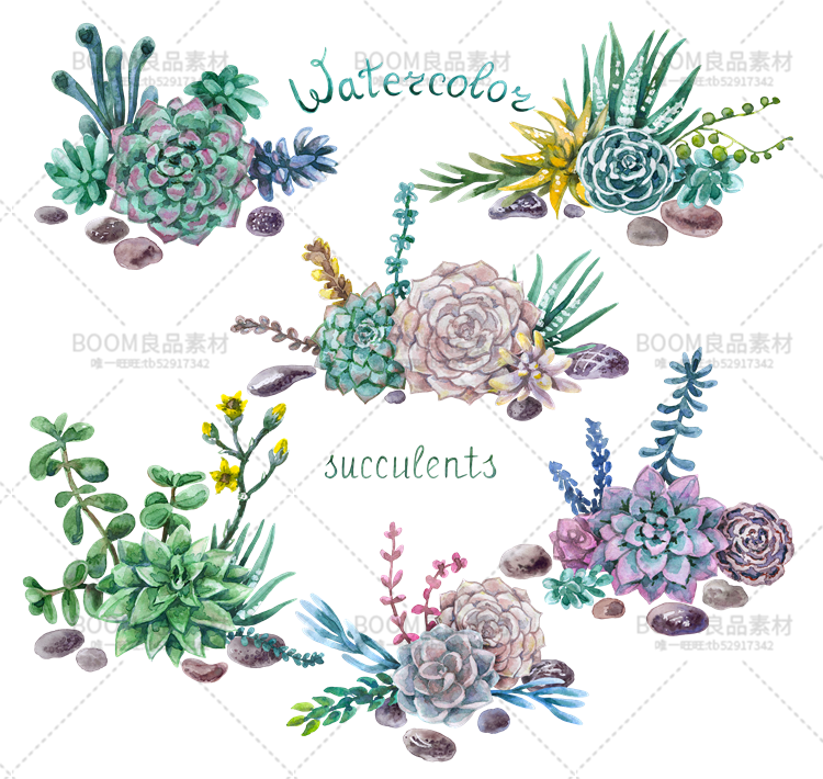 图片[8]-手绘小清新水彩多肉花环飘带石头子海报贺卡图案PNG大图免扣素材-设计猿
