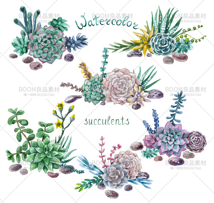 图片[9]-手绘小清新水彩多肉花环飘带石头子海报贺卡图案PNG大图免扣素材-设计猿