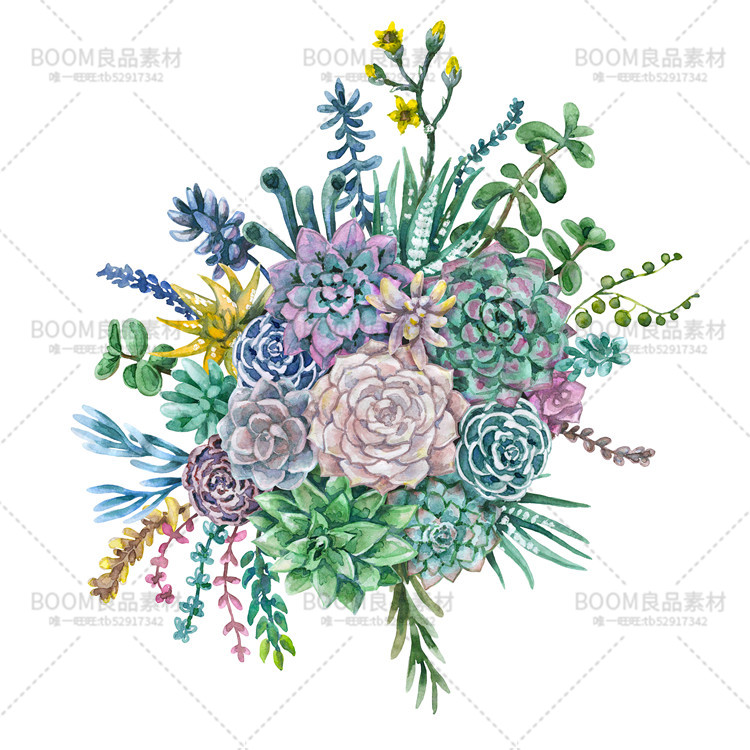 图片[10]-手绘小清新水彩多肉花环飘带石头子海报贺卡图案PNG大图免扣素材-设计猿
