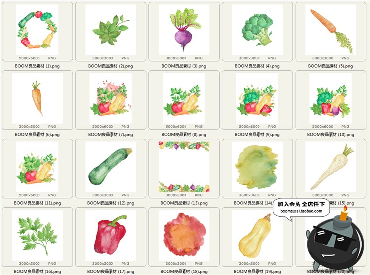 图片[1]-水彩瓜果蔬菜水果植物胡萝卜南瓜手绘PNG透明免抠素材图片PS合集-设计猿