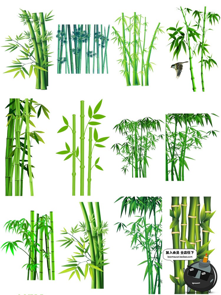 图片[2]-高清PS手绘绿色竹子绿竹竹叶竹节绿色元素PNG免抠设计PS素材图片-设计猿