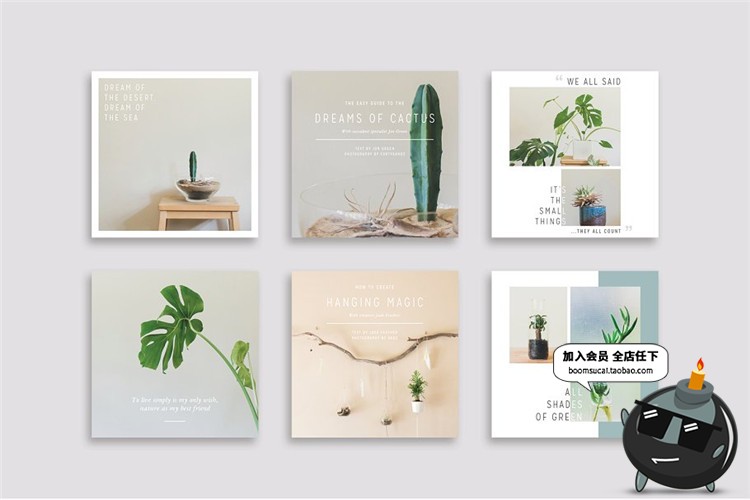 图片[5]-文艺小清新植物盆栽主题海报广告贴图图文故事排版PSD模板PS素材-设计猿