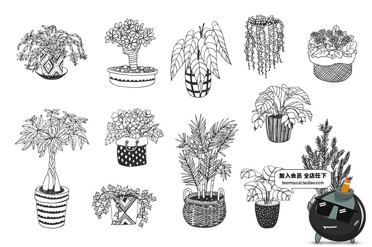 图片[1]-文艺植物绿色黑白线稿仙人掌盆栽水彩手绘手账插画AI矢量素材合集-设计猿