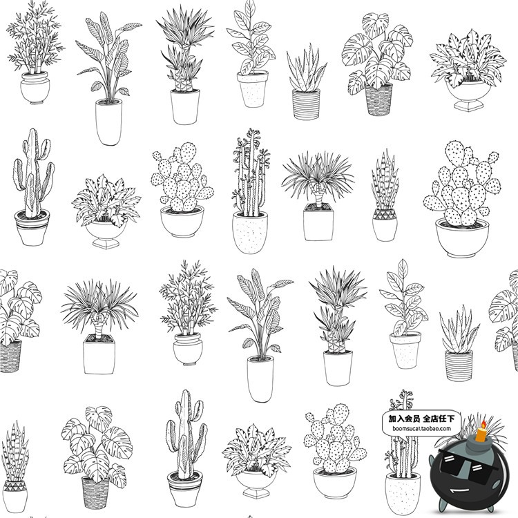 图片[3]-文艺植物绿色黑白线稿仙人掌盆栽水彩手绘手账插画AI矢量素材合集-设计猿