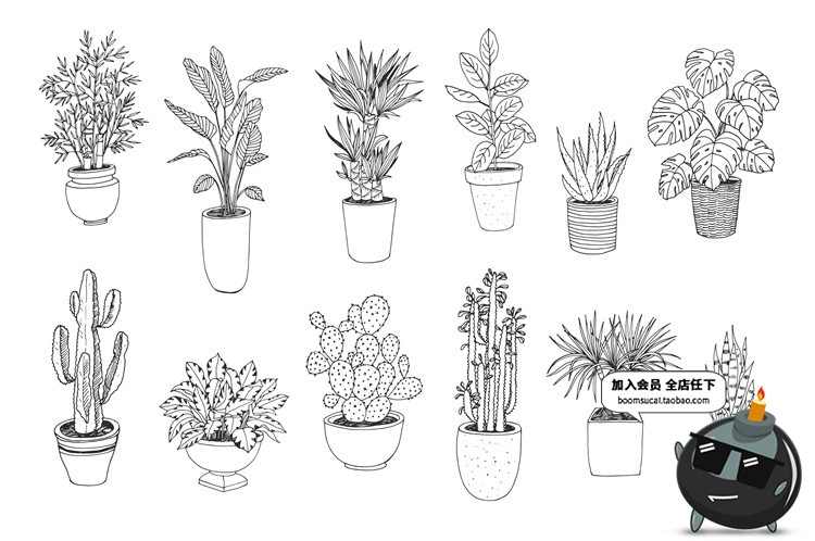 图片[4]-文艺植物绿色黑白线稿仙人掌盆栽水彩手绘手账插画AI矢量素材合集-设计猿