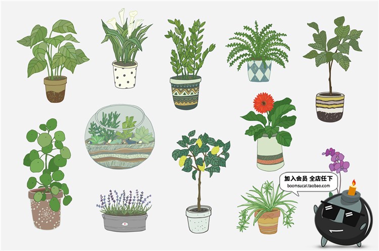 图片[6]-文艺植物绿色黑白线稿仙人掌盆栽水彩手绘手账插画AI矢量素材合集-设计猿