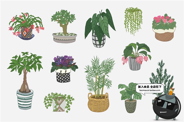 图片[7]-文艺植物绿色黑白线稿仙人掌盆栽水彩手绘手账插画AI矢量素材合集-设计猿