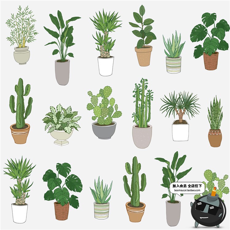 图片[8]-文艺植物绿色黑白线稿仙人掌盆栽水彩手绘手账插画AI矢量素材合集-设计猿