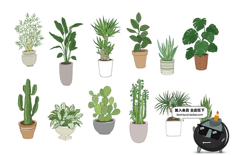 图片[11]-文艺植物绿色黑白线稿仙人掌盆栽水彩手绘手账插画AI矢量素材合集-设计猿