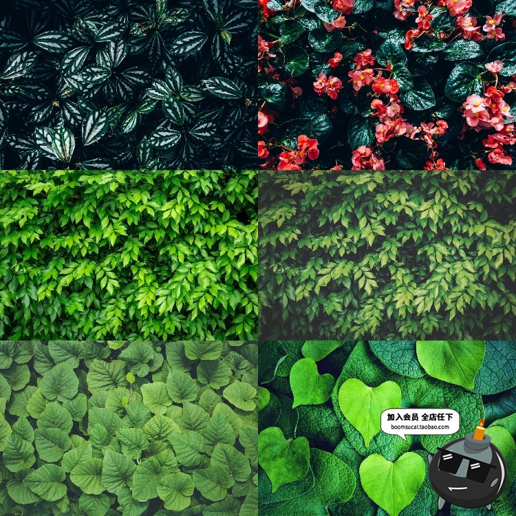 图片[5]-热带植物绿色植被叶子质感森系摄影质感背景底图高清JPG图片素材-设计猿