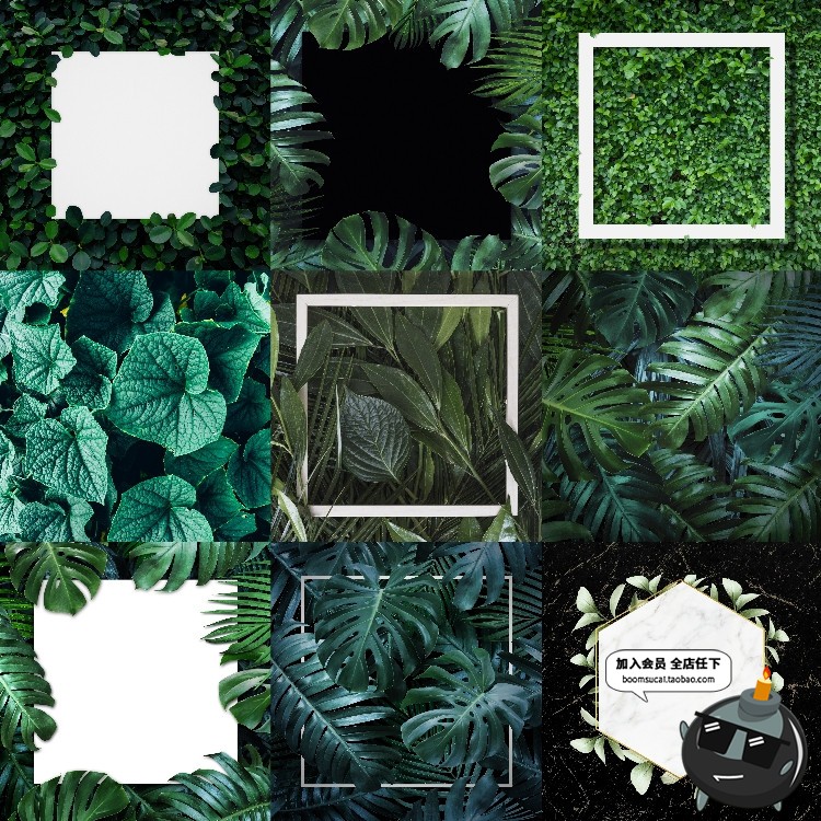 图片[7]-热带植物绿色植被叶子质感森系摄影质感背景底图高清JPG图片素材-设计猿
