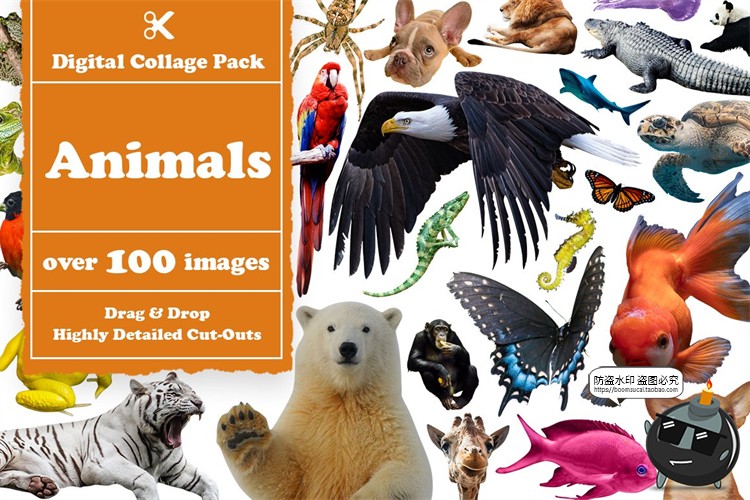 图片[7]-欧美风潮流创意复古人物建筑植物动物剪纸剪贴画拼贴PNG免抠素材-设计猿