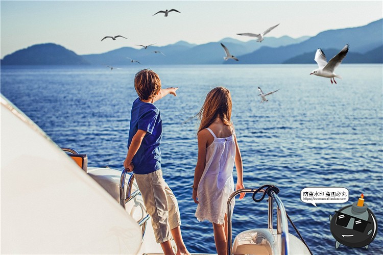 图片[3]-飞翔海鸥站立姿态天空照片摄影叠层PNG免抠后期合成装饰PS素材-设计猿