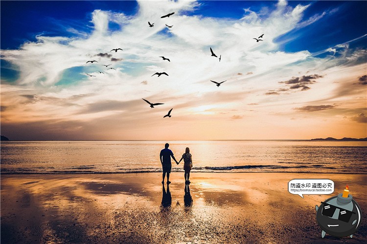 图片[4]-飞翔海鸥站立姿态天空照片摄影叠层PNG免抠后期合成装饰PS素材-设计猿