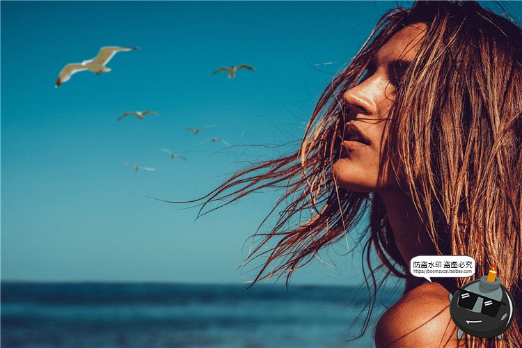 图片[5]-飞翔海鸥站立姿态天空照片摄影叠层PNG免抠后期合成装饰PS素材-设计猿