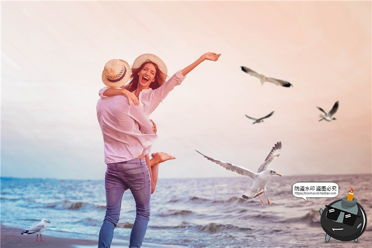 图片[6]-飞翔海鸥站立姿态天空照片摄影叠层PNG免抠后期合成装饰PS素材-设计猿