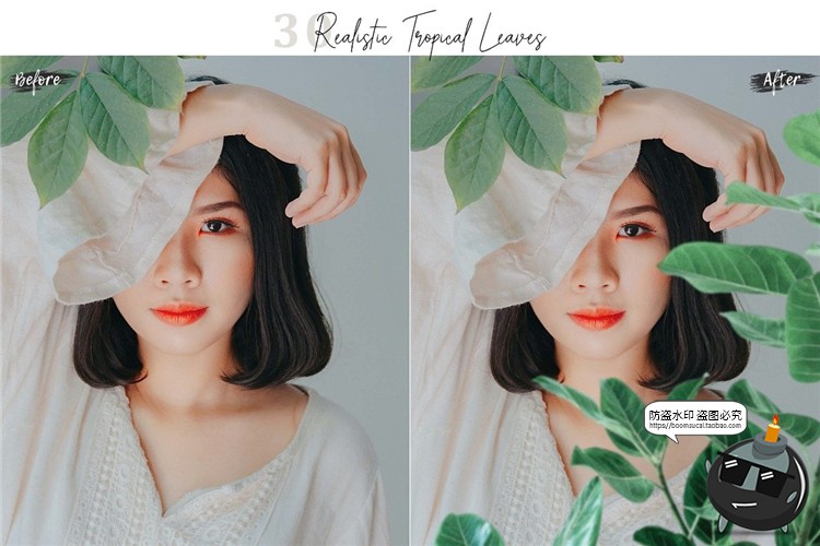 图片[6]-真实热带植物树叶龟背竹遮挡前景效果PNG照片叠层影楼后期PS素材-设计猿