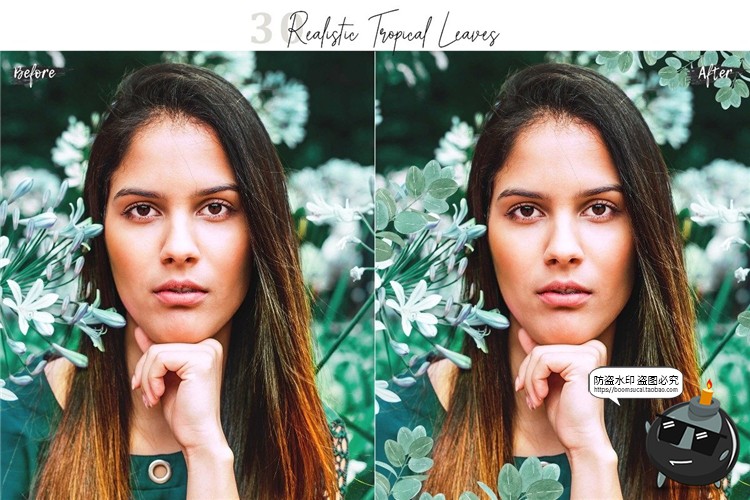 图片[8]-真实热带植物树叶龟背竹遮挡前景效果PNG照片叠层影楼后期PS素材-设计猿