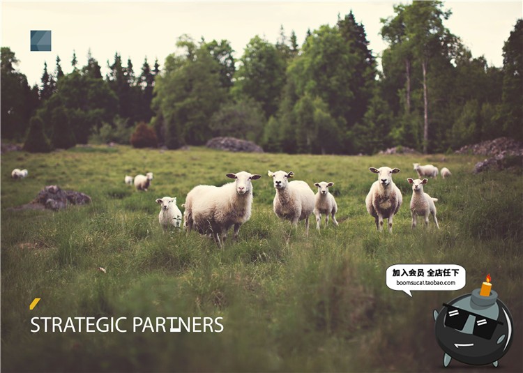 图片[4]-38页公司宣传介绍画册杂志产品手册图文排版Ai模版矢量设计素材-设计猿