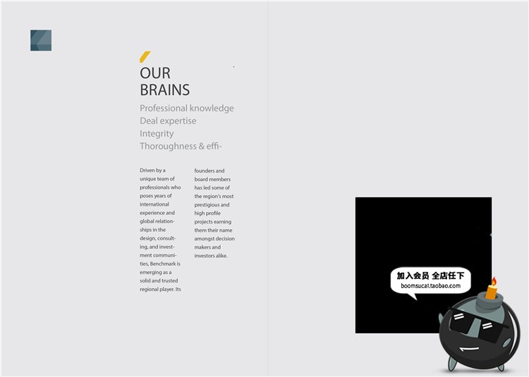 图片[13]-38页公司宣传介绍画册杂志产品手册图文排版Ai模版矢量设计素材-设计猿