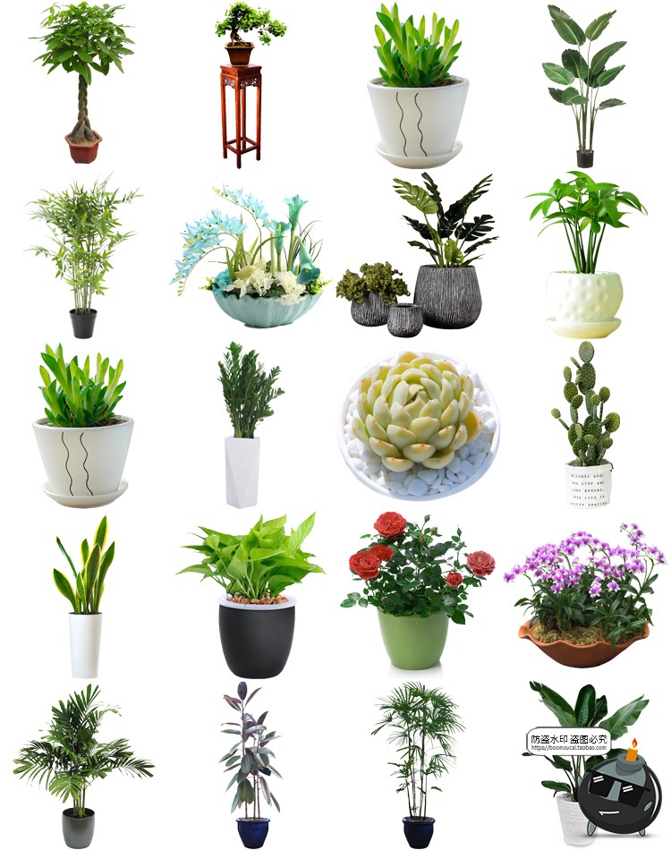 图片[1]-盆栽盆景景观绿植花草植物装饰摆件图片PNG免抠元素PS平面素材-设计猿