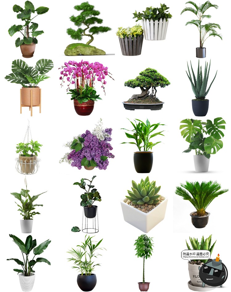 图片[2]-盆栽盆景景观绿植花草植物装饰摆件图片PNG免抠元素PS平面素材-设计猿