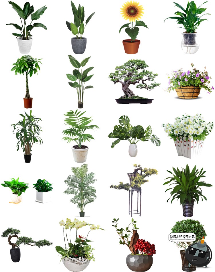 图片[4]-盆栽盆景景观绿植花草植物装饰摆件图片PNG免抠元素PS平面素材-设计猿