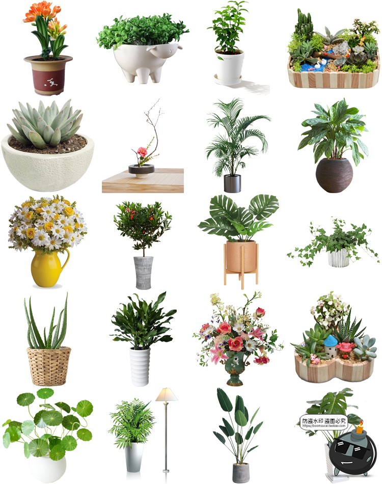 图片[5]-盆栽盆景景观绿植花草植物装饰摆件图片PNG免抠元素PS平面素材-设计猿