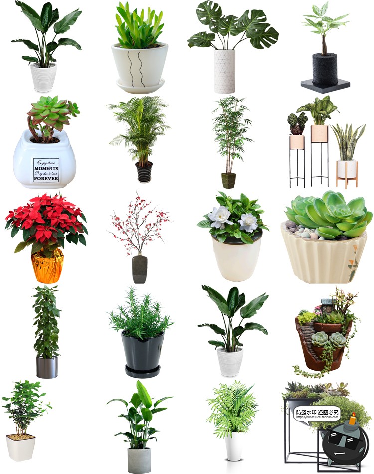 图片[6]-盆栽盆景景观绿植花草植物装饰摆件图片PNG免抠元素PS平面素材-设计猿
