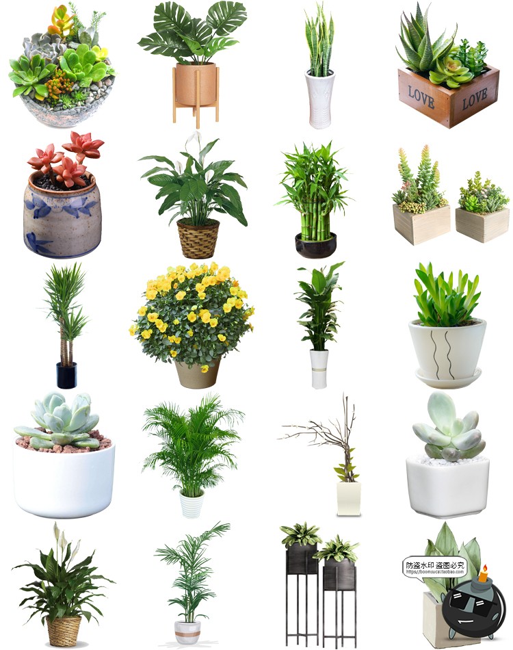 图片[8]-盆栽盆景景观绿植花草植物装饰摆件图片PNG免抠元素PS平面素材-设计猿
